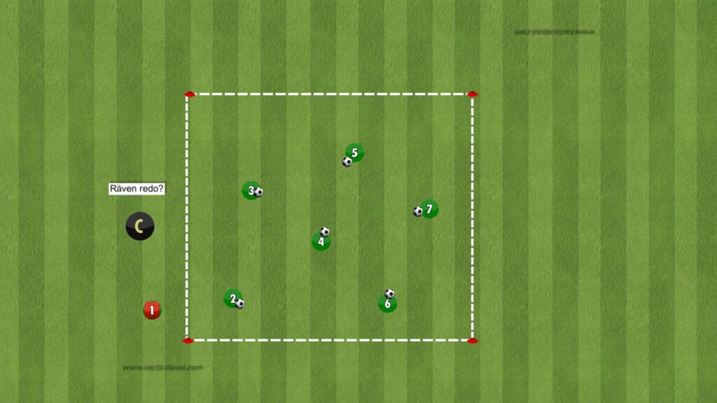 Räven i hönsgården